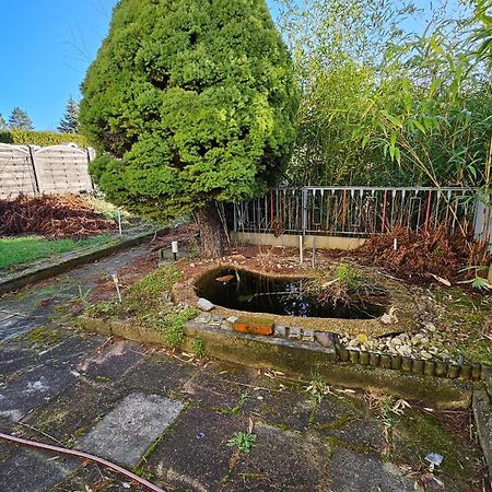 Halle  Haus Mit Garten מראה חיצוני תמונה
